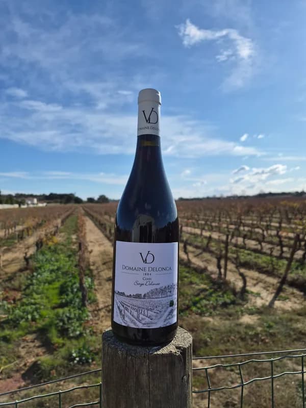Bouteille de Cuvée Serge Delonca Rouge — DOMAINE DELONCA, vin rouge