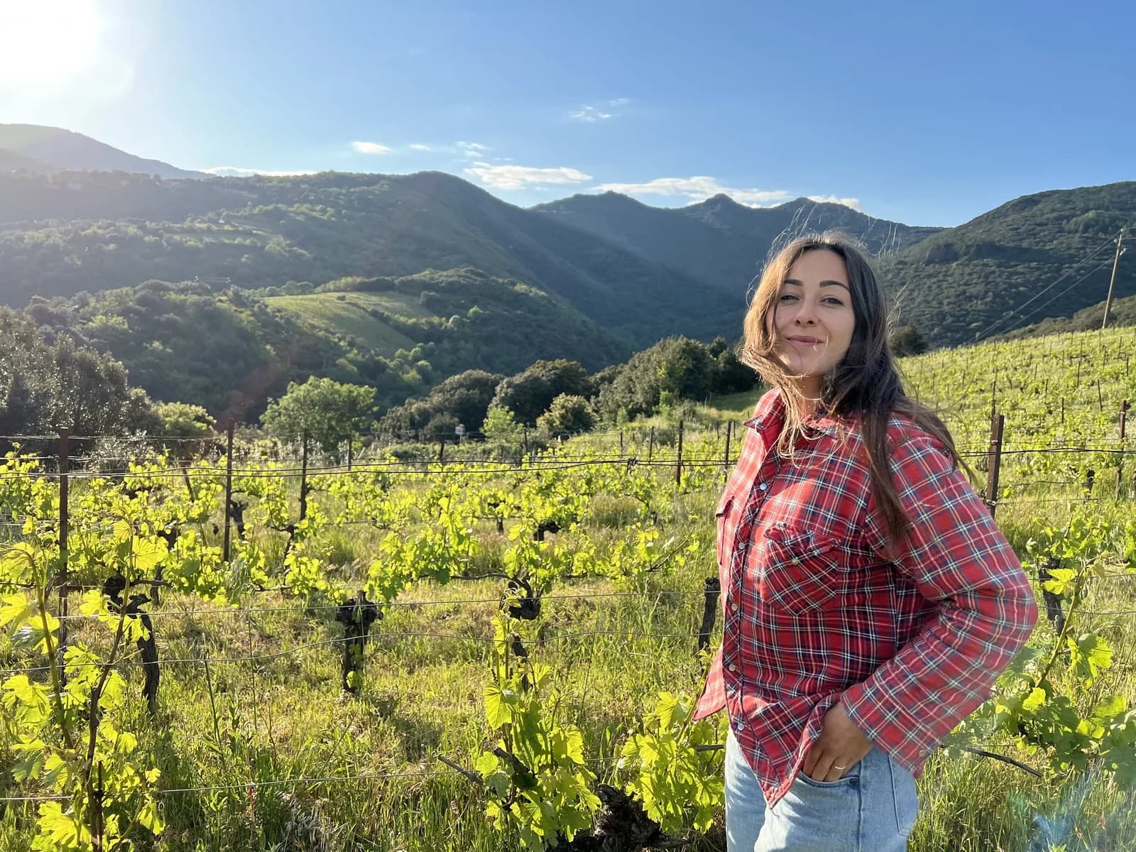 DASILVA KURT — paysage du domaine