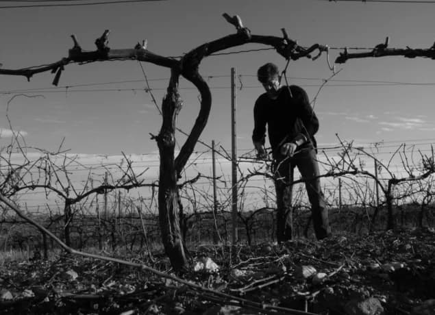 DOMAINE DE QUERELLE — paysage du domaine
