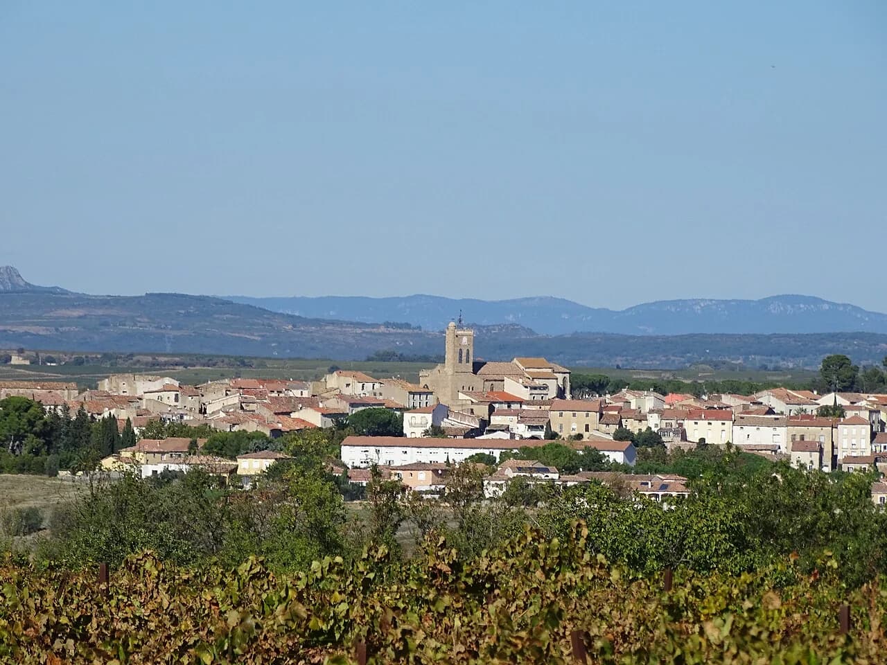 DOMAINE DES PEYRES — paysage du domaine