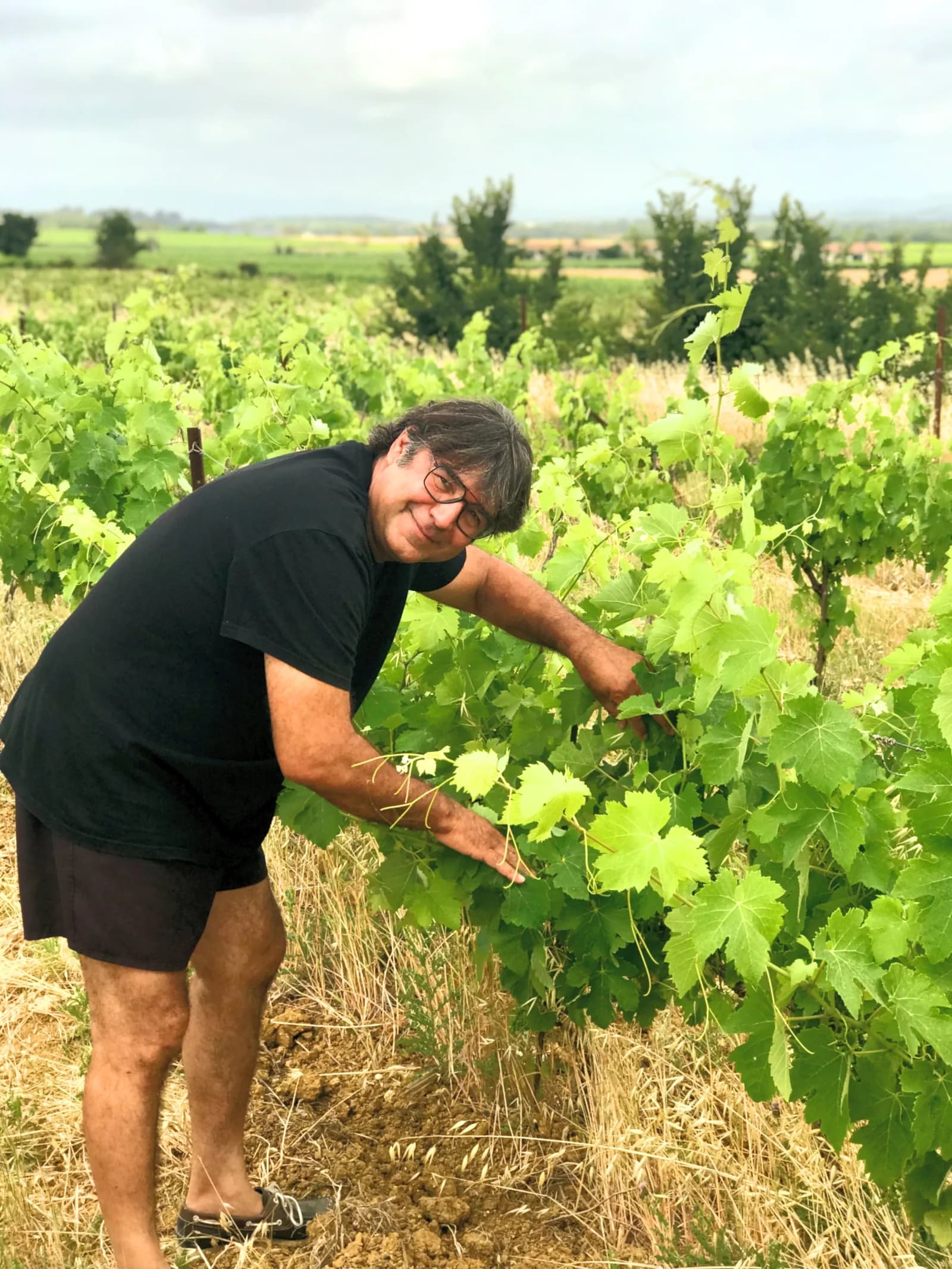 DOMAINE L'AB TOURRETTE — paysage du domaine