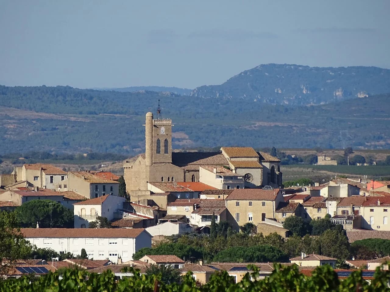 LES VIGNERONS DE L'OCCITANE — paysage du domaine