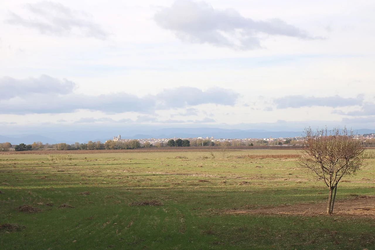 LES VIGNOBLES DE LA MEDITERRANEE — paysage du domaine