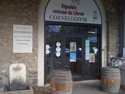 TERROIRS EN GARRIGUES — paysage du domaine