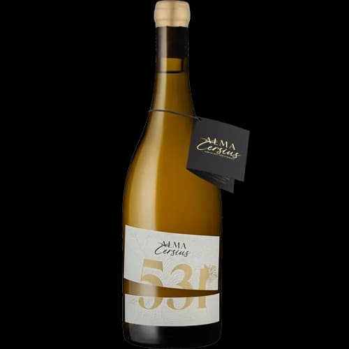 Bouteille de 531 Chardonnay — ALMA CERSIUS, vin blanc