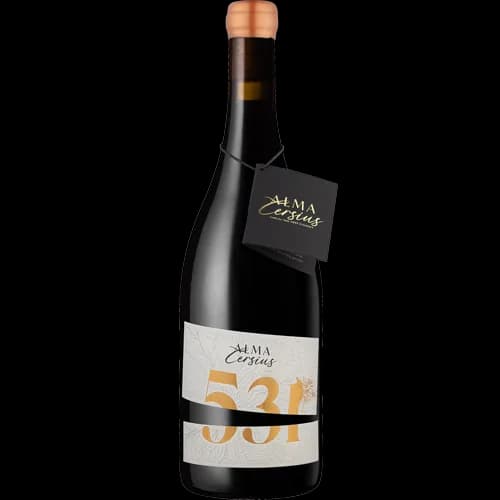 Bouteille de 531 Syrah — ALMA CERSIUS, vin rouge