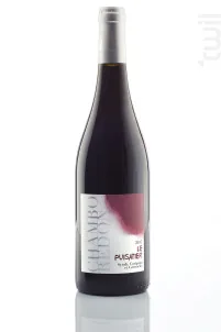 Bouteille de Le Puisatier — DOMAINE CHAMBOREDON, vin rouge