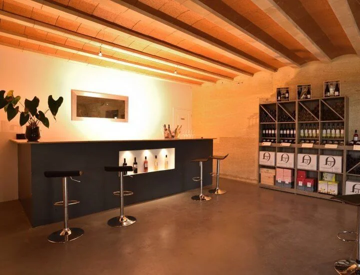 Caveau de degustation moderne : bar/comptoir noir eclaire, tabourets chromes, plafond en voutains de briques et poutres bois apparentes, mur en terre crue, presentoirs a bouteilles et cartons logotypes. Espace de degustation soigne et accueillant.