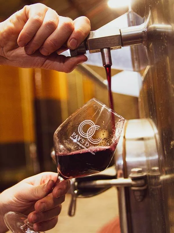 Gros plan sur des mains tirant un vin rouge au robinet d'une cuve dans le chai, le filet de vin coulant dans un verre Pays d'Oc. Cadrage serre, lumiere chaude, ambiance authentique de degustation au chai. 600x800.