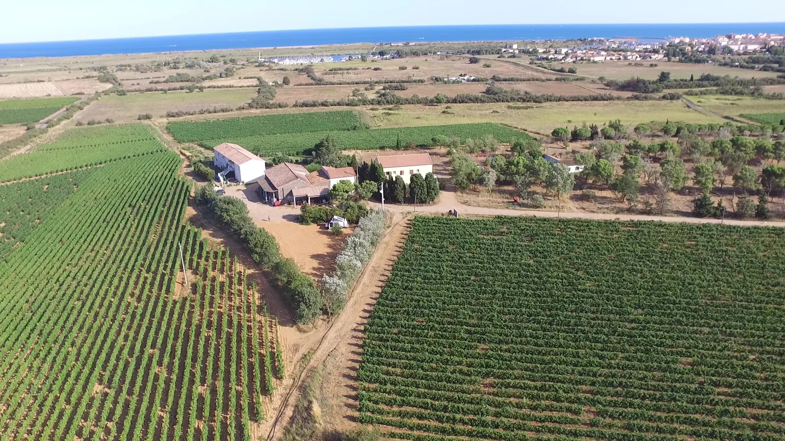 Vue drone, vignes en terrasses, Mediterranee. Image phare hero.
