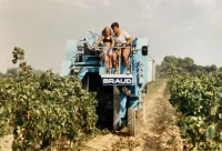 Photo d'archive pere et fille sur une machine a vendanger. Transmission familiale.