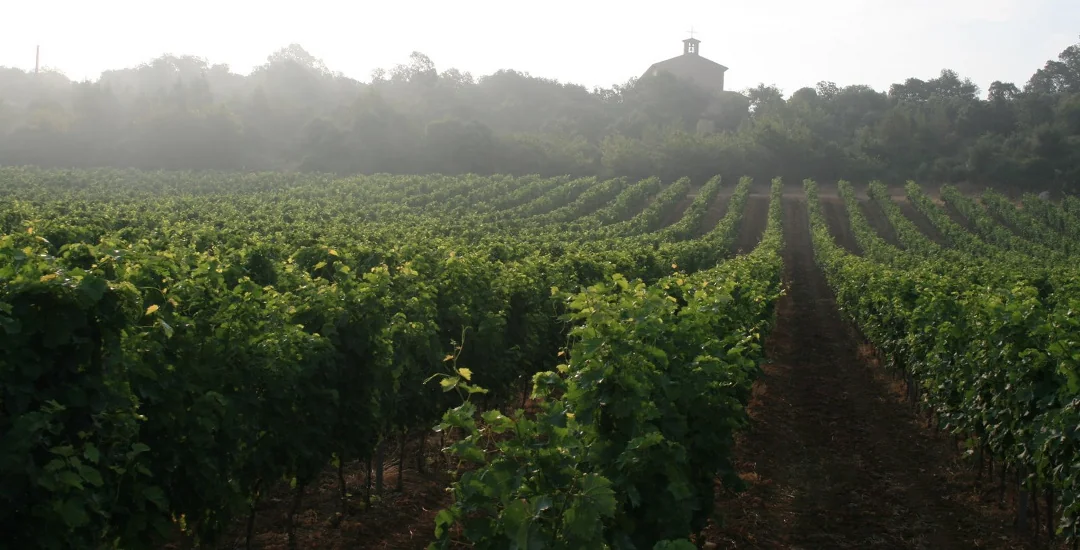 Domaine Preignes le Neuf — paysage