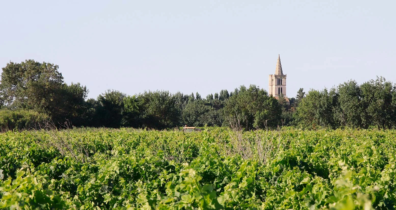 Les Vignerons de Serignan — image